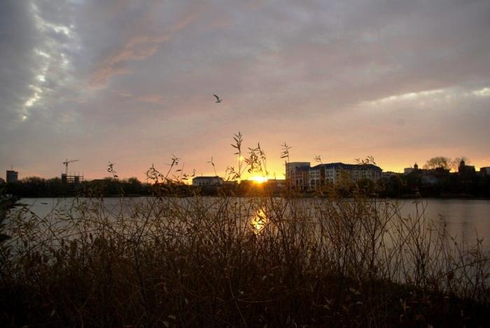 Фото ВРЕМЕНА ГОДА. Ноябрь-2008