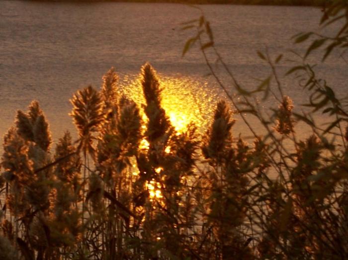Фото ВРЕМЕНА ГОДА. Ноябрь-2008