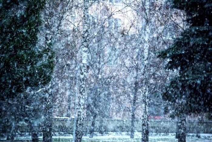Фото ВРЕМЕНА ГОДА. Ноябрь-2008