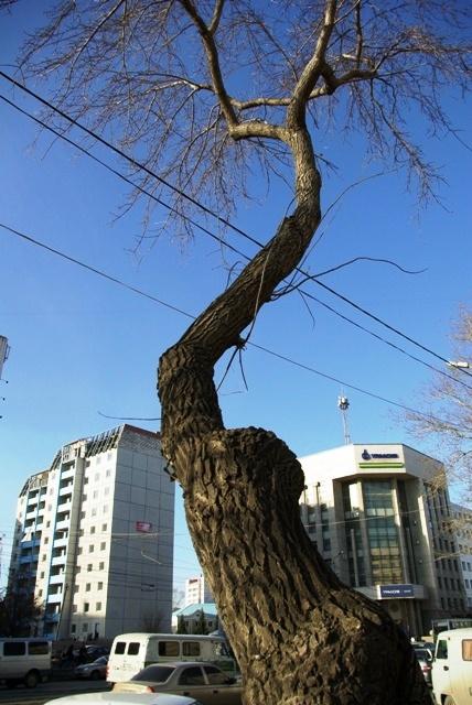 Фото ВРЕМЕНА ГОДА. Ноябрь-2008
