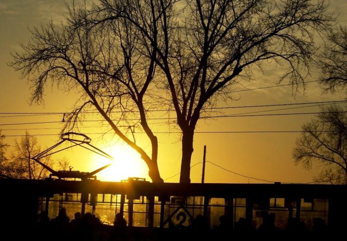 Фото ВРЕМЕНА ГОДА. Ноябрь-2008