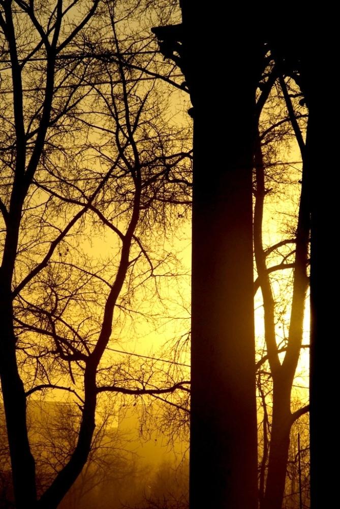 Фото ВРЕМЕНА ГОДА. Ноябрь-2008