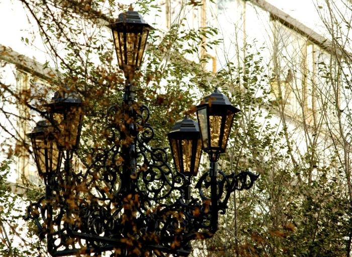 Фото ВРЕМЕНА ГОДА. Ноябрь-2008