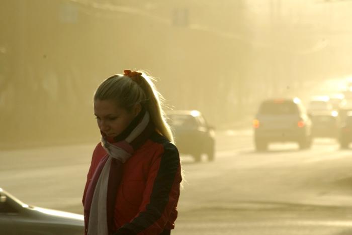 Фото ВРЕМЕНА ГОДА. Ноябрь-2008