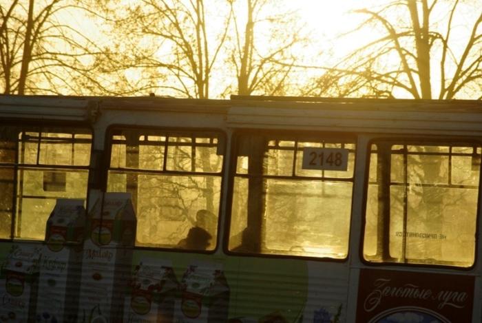 Фото ВРЕМЕНА ГОДА. Ноябрь-2008