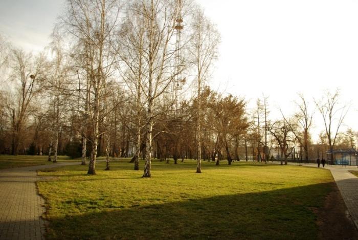Фото ВРЕМЕНА ГОДА. Ноябрь-2008