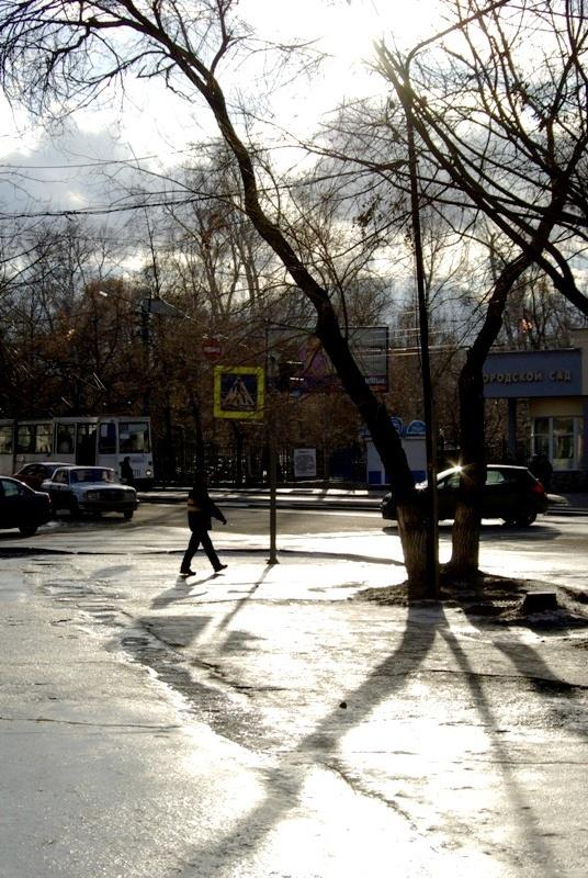 Фото ВРЕМЕНА ГОДА. Ноябрь-2008
