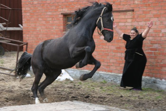 Фото Александр Фирсов. Избранное