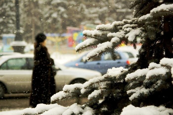 Фото Времена года. Декабрь-2008