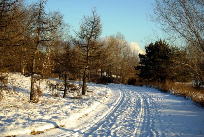 Фото Времена года. Декабрь-2008