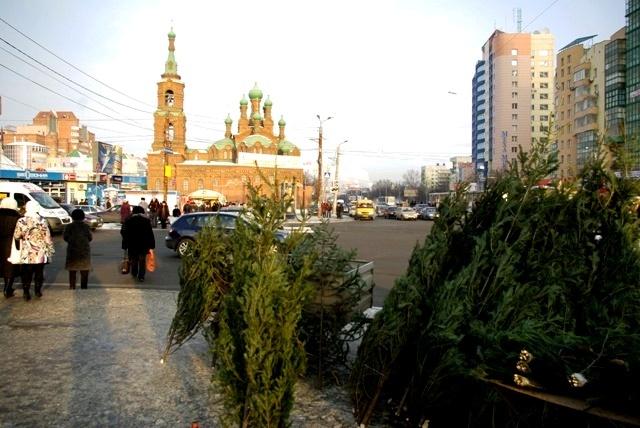 Фото Времена года. Декабрь-2008