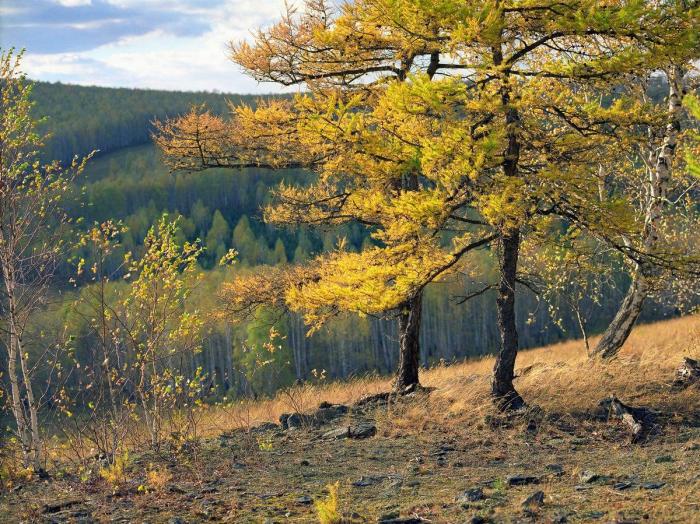 Фото Анатолий Шулепов. Избранное
