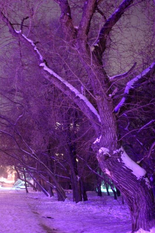 Фото День за днем. Многоликий Челябинск, февраль-2009