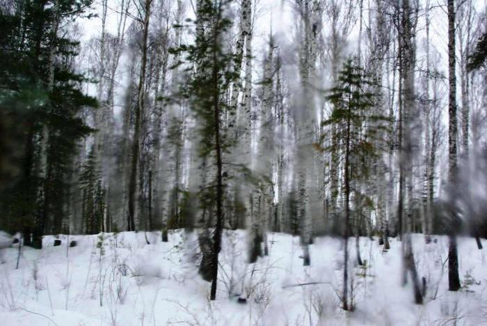 Фото День за днем. Челябинск, март-2009
