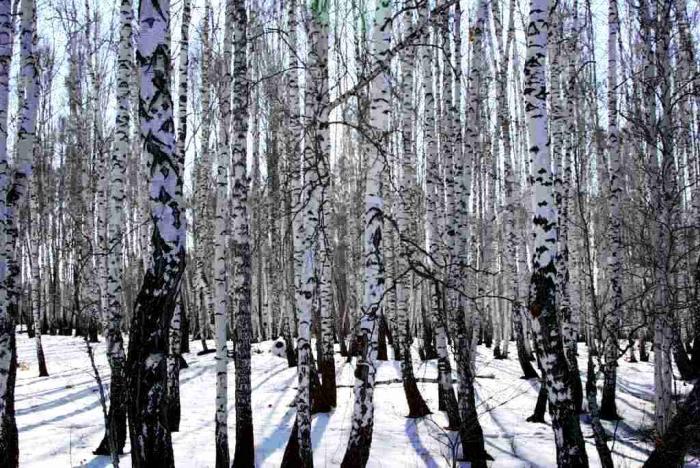 Фото День за днем. Челябинск, март-2009