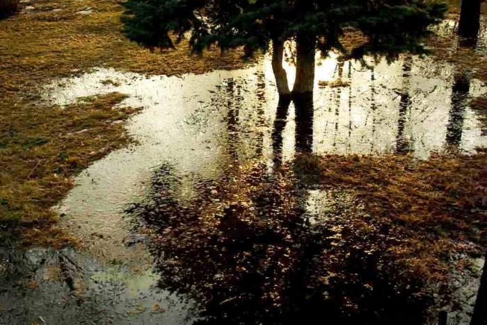 Фото День за днем. Челябинск, март-2009
