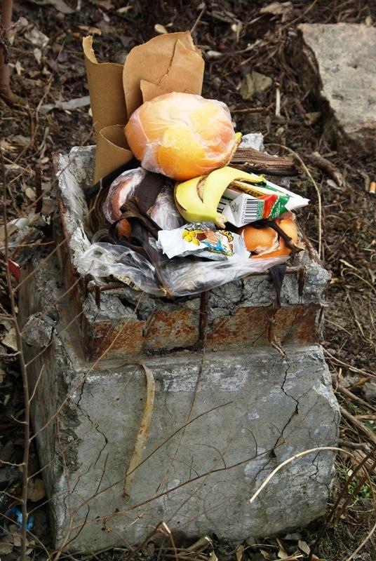Фото Экология