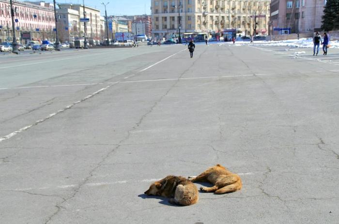 Фото Челябинск  и челябинцы. Апрель-2014. День за днем