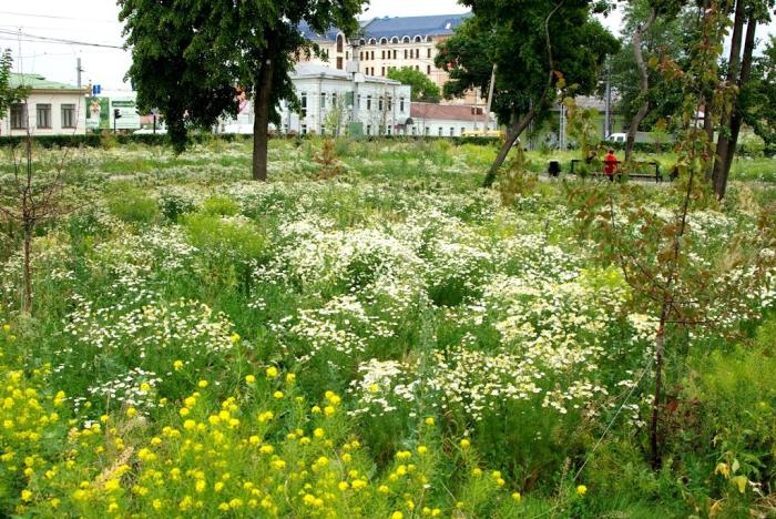 Фото День за днем. Многоликий Челябинск, ИЮЛЬ-2009