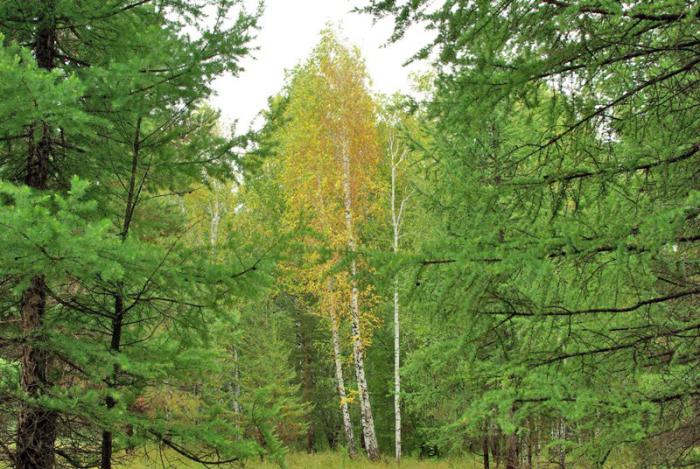 Фото День за днем. Многоликий Челябинск, ИЮЛЬ-2009