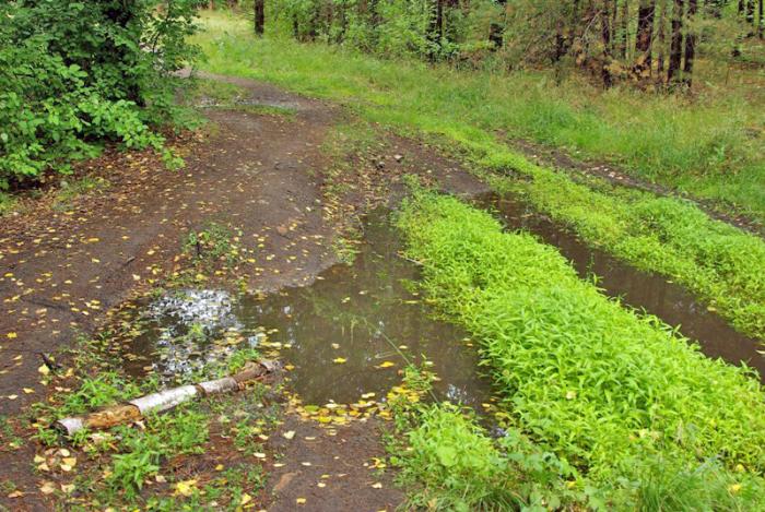Фото День за днем. Многоликий Челябинск, ИЮЛЬ-2009