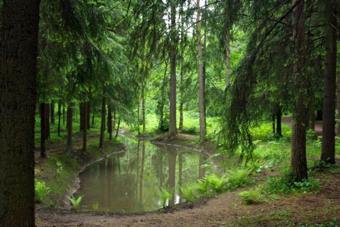 Фото Репино. Пенаты 