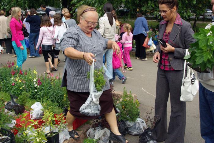 Фото Выставка плодов и цветов-2009