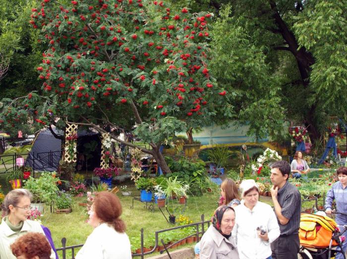 Фото Выставка плодов и цветов-2009