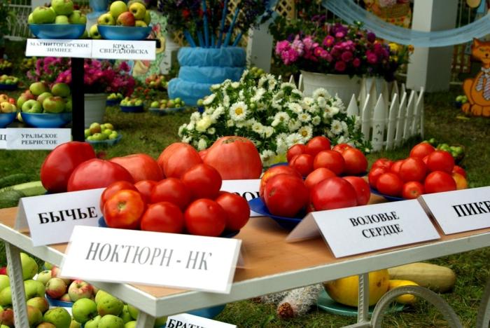 Фото Выставка плодов и цветов-2009