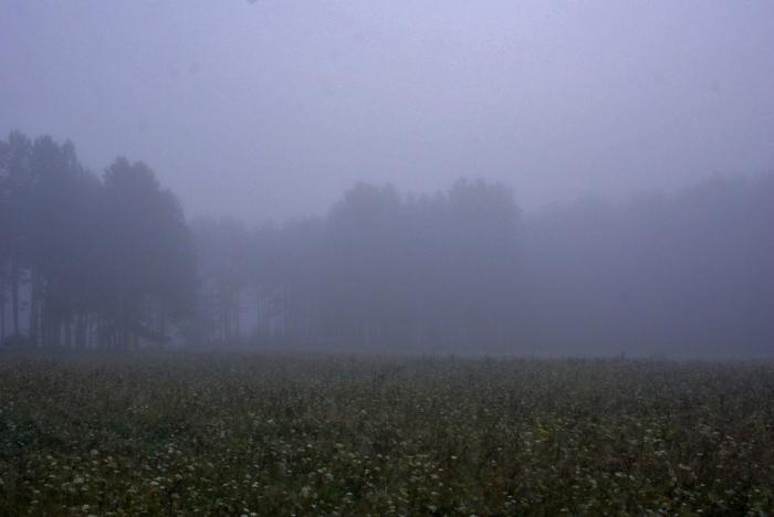 Фото АЙ