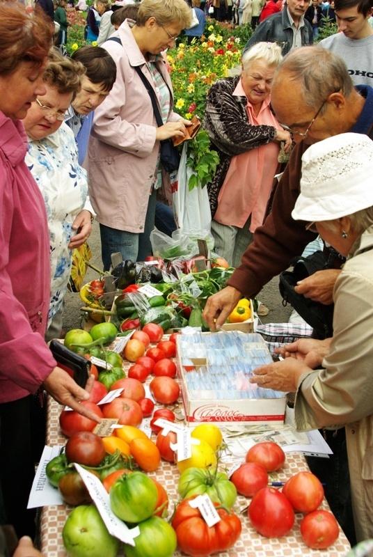 Фото Выставка плодов и цветов-2009
