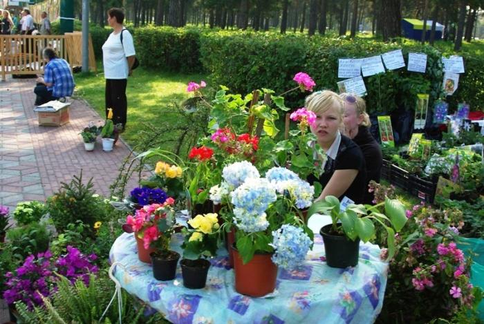 Фото Выставка плодов и цветов-2009