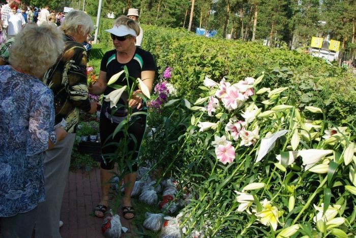 Фото Выставка плодов и цветов-2009