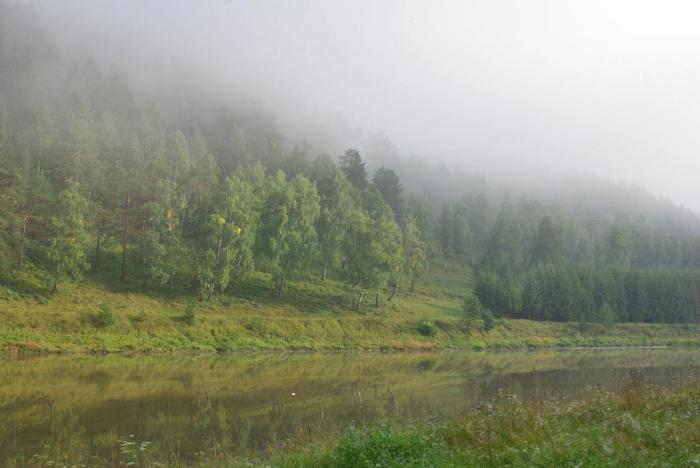 Фото САТКА