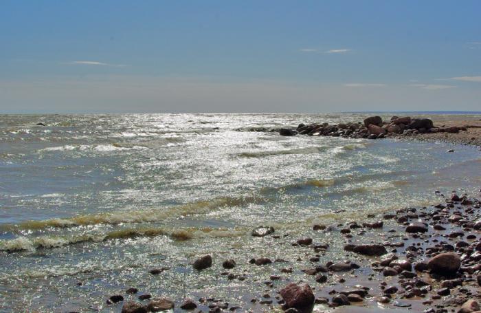 Фото Времена года. Июнь-2008