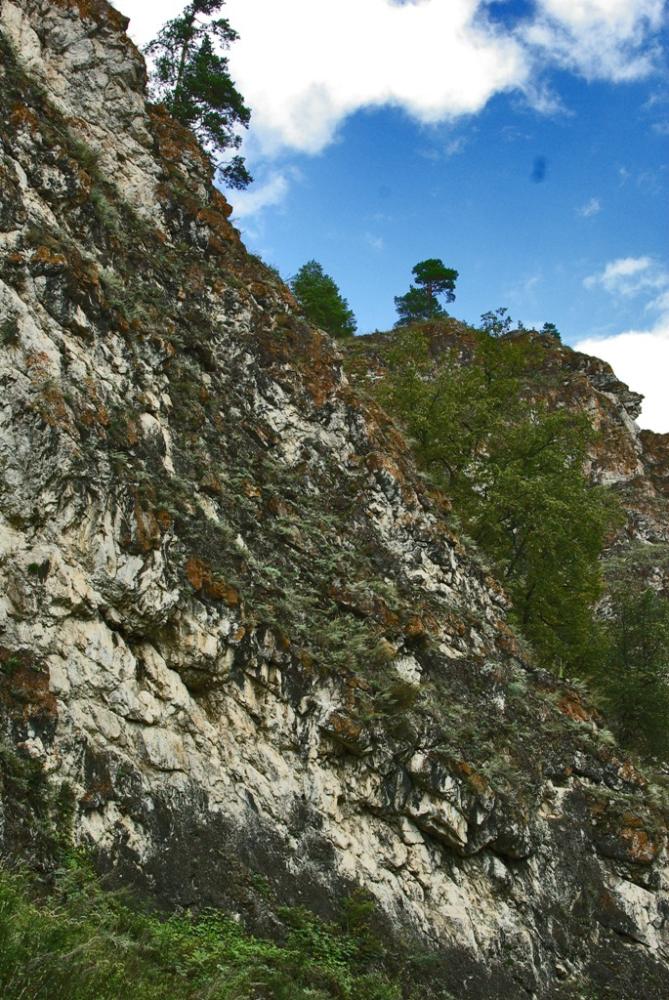 Фото АЙ