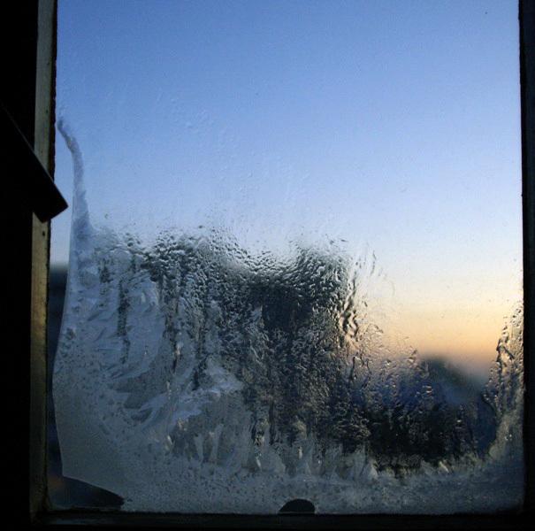 Фото ДЕНЬ ЗА ДНЕМ. ДЕКАБРЬ-2009
