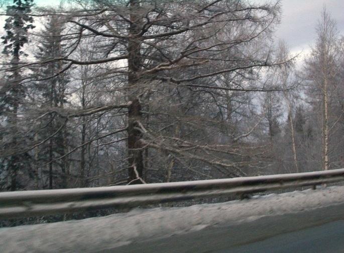 Фото ДЕНЬ ЗА ДНЕМ. ДЕКАБРЬ-2009