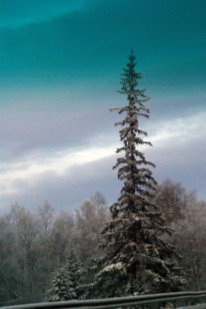 Фото ДЕНЬ ЗА ДНЕМ. ДЕКАБРЬ-2009