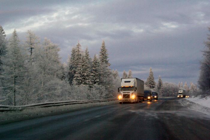 Фото ДЕНЬ ЗА ДНЕМ. ДЕКАБРЬ-2009