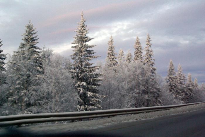 Фото ДЕНЬ ЗА ДНЕМ. ДЕКАБРЬ-2009