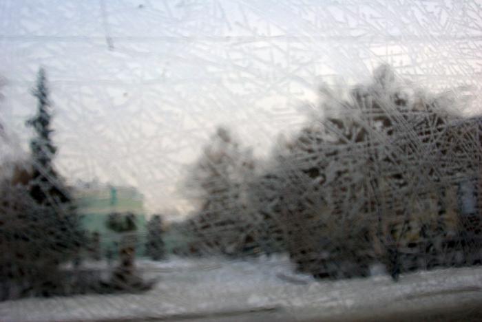 Фото ДЕНЬ ЗА ДНЕМ. ДЕКАБРЬ-2009
