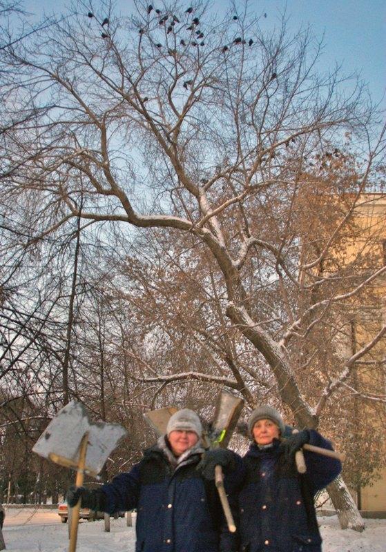 Фото ДЕНЬ ЗА ДНЕМ. ДЕКАБРЬ-2009