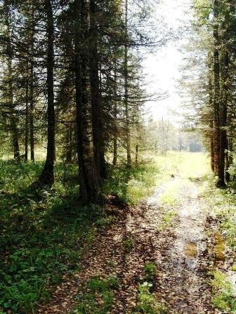 Фото СРЕДА ОБИТАЯ-6