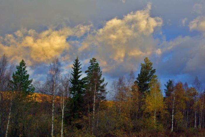Фото МЕСЯЦ СЕНТЯБРЬ-2010