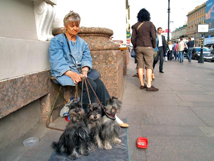 Фото Питерские сюжеты