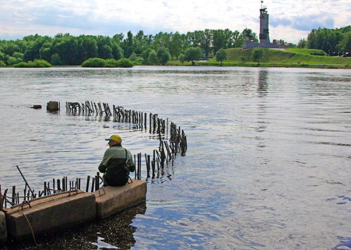 Фото Воспоминания о лете