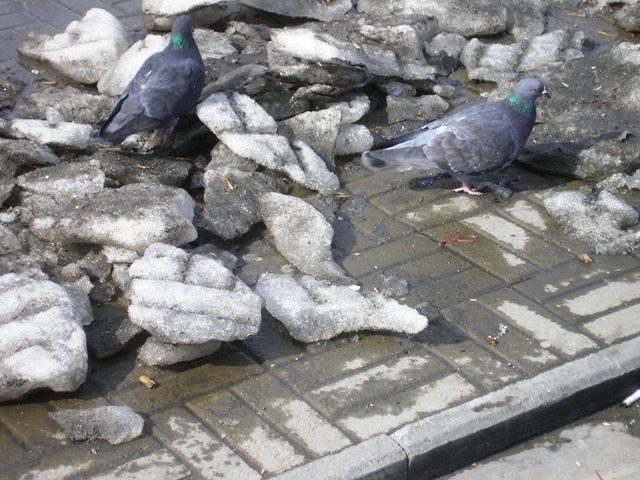 Фото Челябинск и ЧЕЛЯБИНЦЫ. Последний день марта-2006