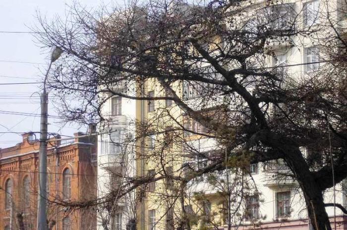 Фото ЧЕЛЯБИНСК И ЧЕЛЯБИНЦЫ. Первый день апреля на оси проспекта Ленина