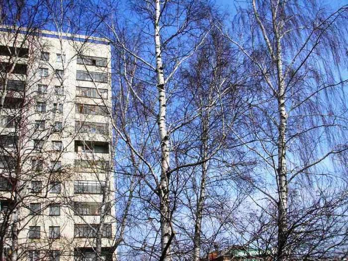 Фото ЧЕЛЯБИНСК И ЧЕЛЯБИНЦЫ. Первый день апреля на оси проспекта Ленина